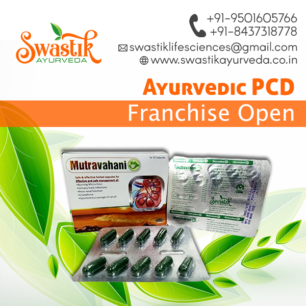 Ayurvedic Franchise Company in Uttarakhand