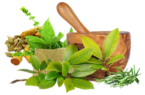 Best Ayurvedic Herbal Oi